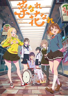 如何把网站结构优化关掉